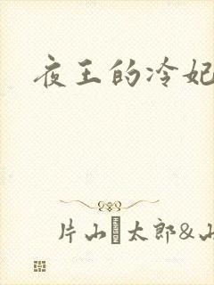 夜王的冷妃