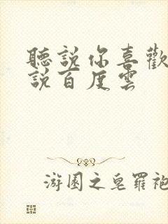 听说你喜欢我小说百度云