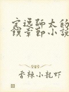 定逸师太的肉夹馍章节小说