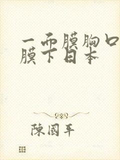 一面膜胸口一面膜下日本