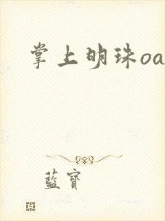 掌上明珠oa