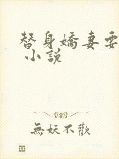 替身娇妻要离婚 小说