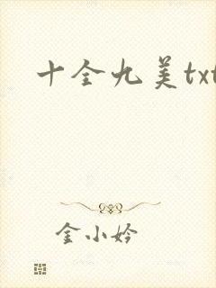 十全九美txt