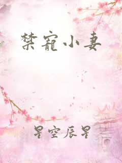 禁宠小妻