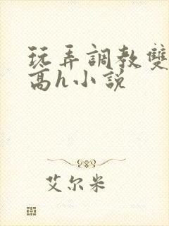 玩弄调教双胞胎高h小说