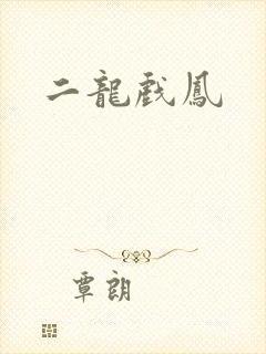 二龙戏凤