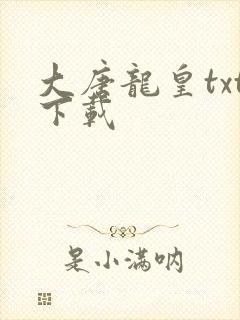 大唐龙皇txt下载