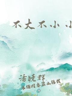不大不小 小说