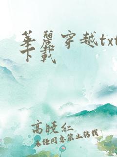 华丽穿越txt下载