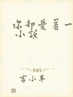 你却爱着一个他 小说