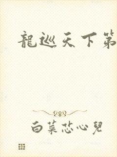 龙巡天下第四部