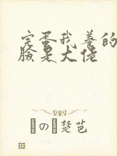 完蛋我养的小白脸是大佬