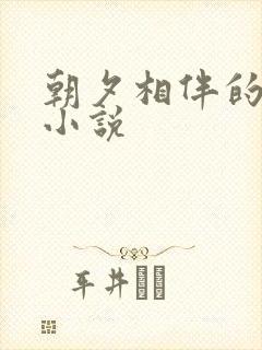 朝夕相伴的哥哥小说