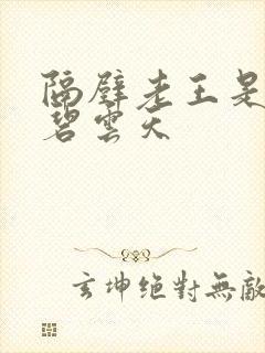 隔壁老王是皇帝碧云天