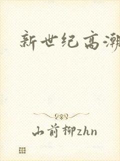 新世纪高潮战队