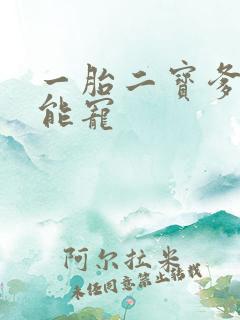 一胎二宝爹地超能宠