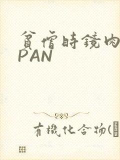 贫僧时镜肉补全PAN