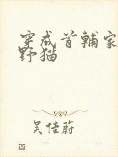 穿成首辅家的小野猫