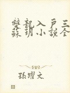 双龙入户三人行苏玥小说全文阅读