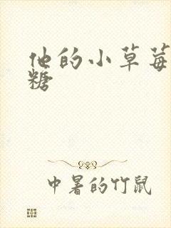 他的小草莓软糖糖