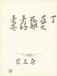 素素死在了最漂亮的那天