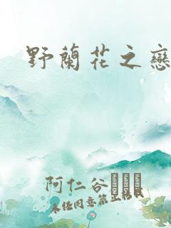 野兰花之恋