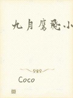 九月鹰飞小说