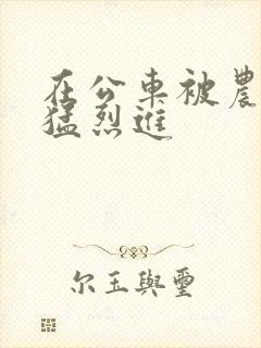 在公车被农民工猛烈进