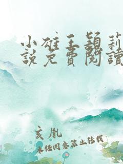 小雄王颖莉的小说免费阅读全文