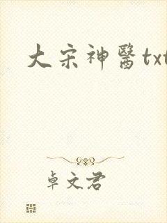 大宋神医txt