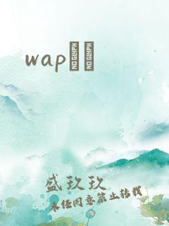 wapС˵