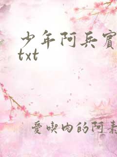 少年阿兵宾小说txt