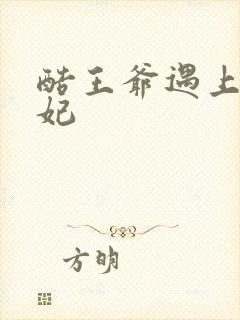 酷王爷遇上穿越妃