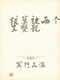 校草被两个体育生双龙