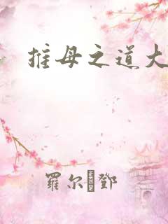 推母之道大结局