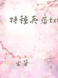 特种兵痞txt