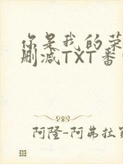 你是我的荣耀未删减TXT番外