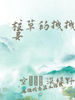 校草的拽拽未婚妻