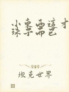 小东西这才一颗珠子而已