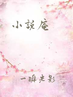 小说庵