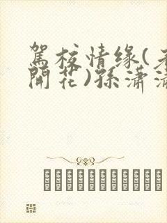 驾校情缘(老树开花)孙潇潇笔趣阁