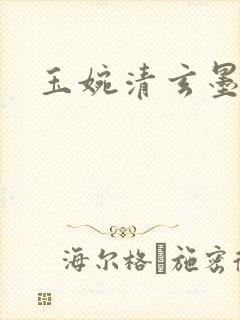 玉婉清玄墨小说