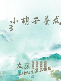 小胡子养成计划3