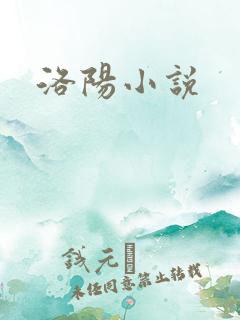 洛阳小说