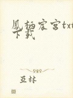 凤栖宸宫txt下载