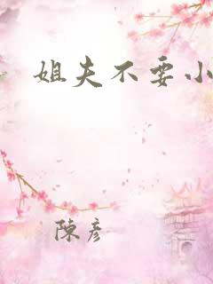 姐夫不要小说