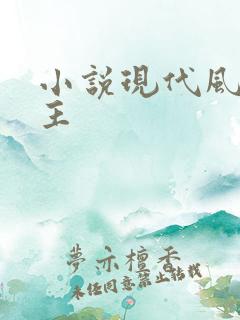 小说现代风流霸主