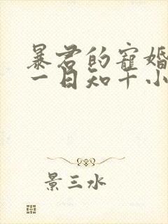 暴君的宠婚日常一日知千小说免费