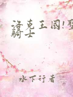 洛克王国!圣龙骑士