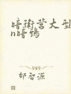 暗卫营大型hpn暗鸦